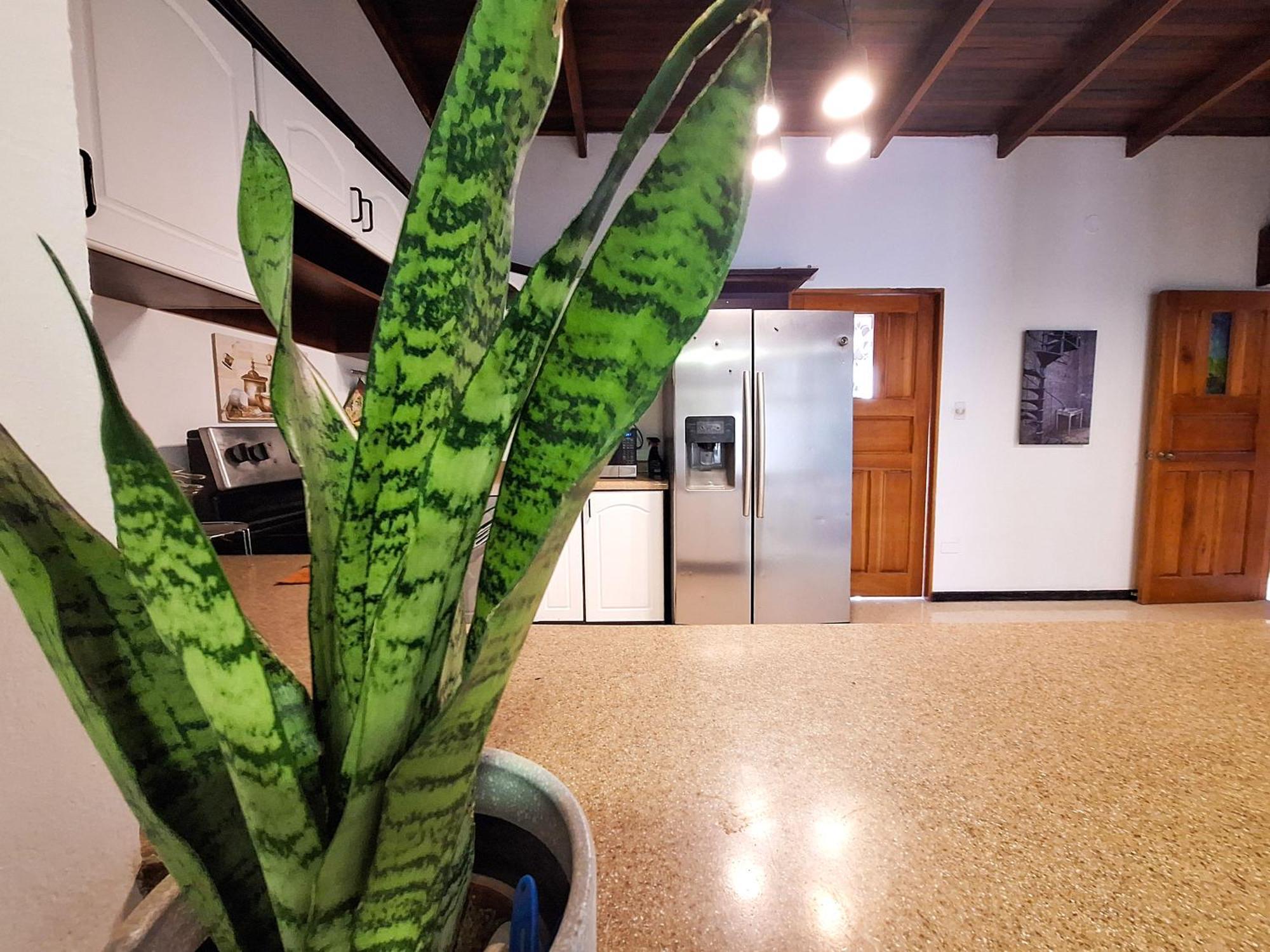 Jungla Urbana, Bnb Pavas Exterior foto